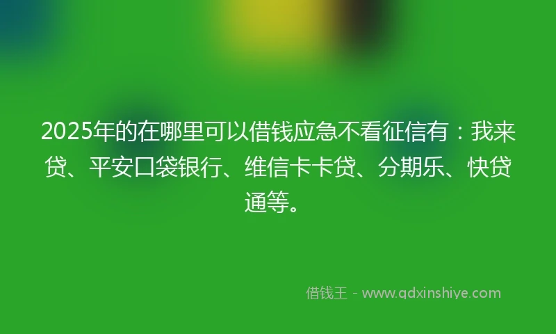 2025年的在哪里可以借钱应急不看征信有：我来贷、平安口袋银行、维信卡卡贷、分期乐、快贷通等。