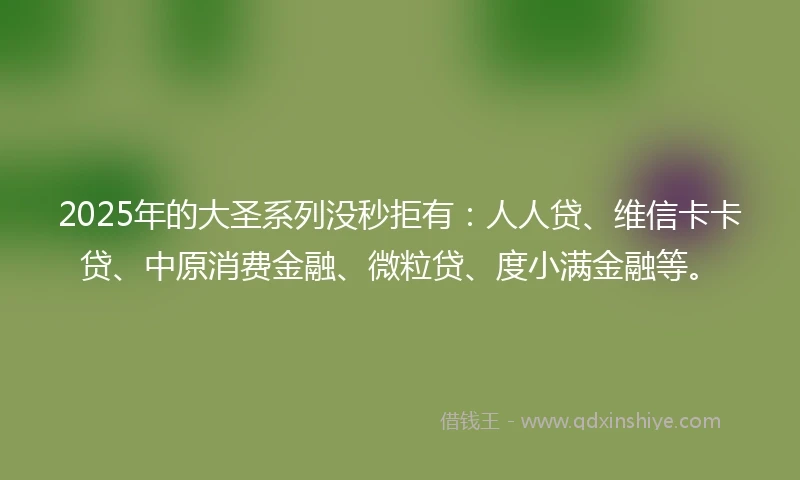 2025年的大圣系列没秒拒有：人人贷、维信卡卡贷、中原消费金融、微粒贷、度小满金融等。
