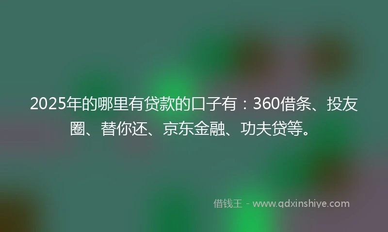 2025年的哪里有贷款的口子有：360借条、投友圈、替你还、京东金融、功夫贷等。