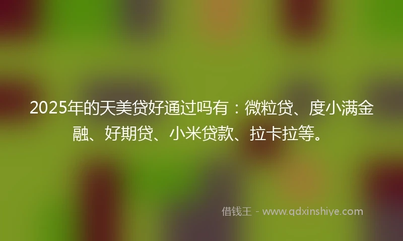 2025年的天美贷好通过吗有：微粒贷、度小满金融、好期贷、小米贷款、拉卡拉等。