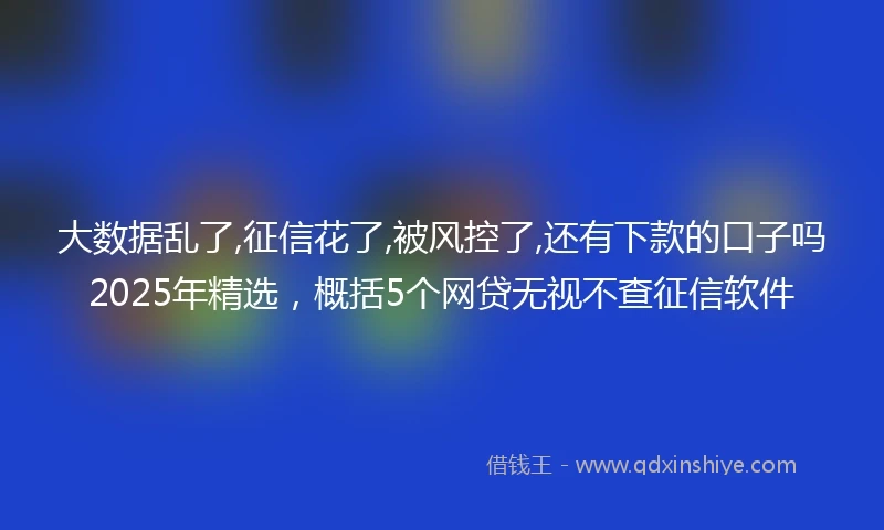 大数据乱了,征信花了,被风控了,还有下款的口子吗2025年精选，概括5个网贷无视不查征信软件