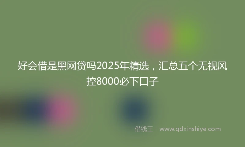 好会借是黑网贷吗2025年精选，汇总五个无视风控8000必下口子