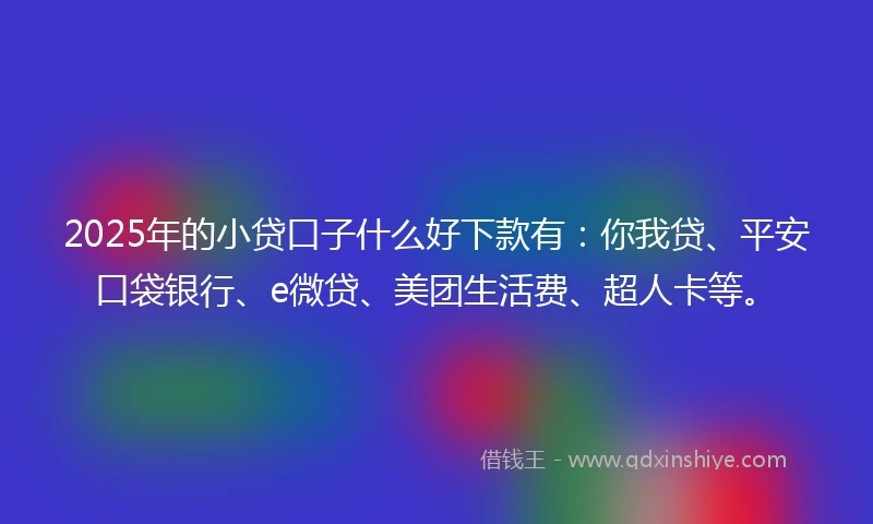 2025年的小贷口子什么好下款有：你我贷、平安口袋银行、e微贷、美团生活费、超人卡等。