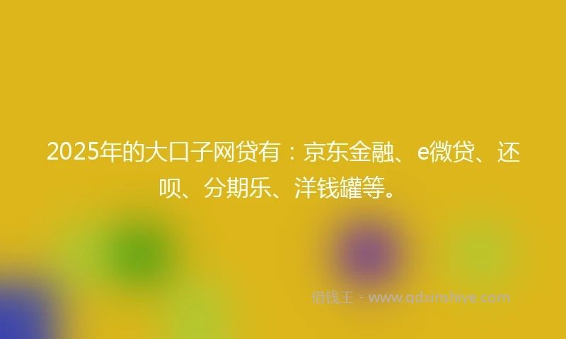 2025年的大口子网贷有：京东金融、e微贷、还呗、分期乐、洋钱罐等。