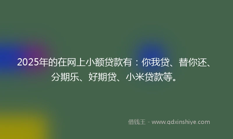 2025年的在网上小额贷款有：你我贷、替你还、分期乐、好期贷、小米贷款等。