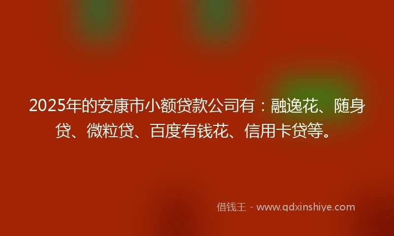 2025年的安康市小额贷款公司有：融逸花、随身贷、微粒贷、百度有钱花、信用卡贷等。