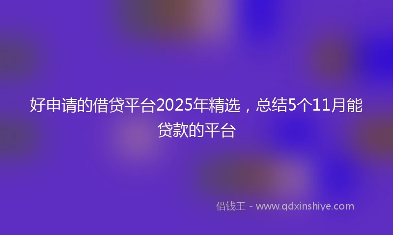 好申请的借贷平台2025年精选，总结5个11月能贷款的平台