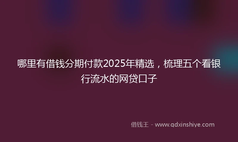 哪里有借钱分期付款2025年精选,梳理五个看银行流水的网贷口子