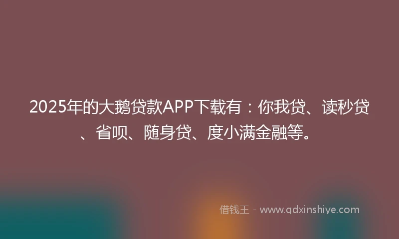 2025年的大鹅贷款APP下载有：你我贷、读秒贷、省呗、随身贷、度小满金融等。