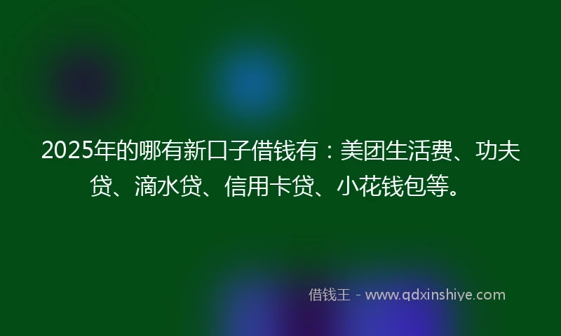2025年的哪有新口子借钱有：美团生活费、功夫贷、滴水贷、信用卡贷、小花钱包等。