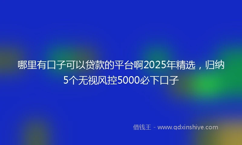 哪里有口子可以贷款的平台啊2025年精选，归纳5个无视风控5000必下口子
