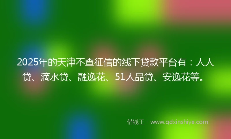 2025年的天津不查征信的线下贷款平台有：人人贷、滴水贷、融逸花、51人品贷、安逸花等。