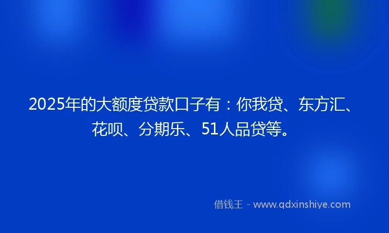 2025年的大额度贷款口子有：你我贷、东方汇、花呗、分期乐、51人品贷等。