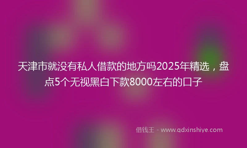 天津市就没有私人借款的地方吗2025年精选，盘点5个无视黑白下款8000左右的口子