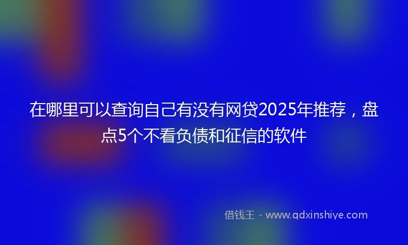 在哪里可以查询自己有没有网贷2025年推荐，盘点5个不看负债和征信的软件