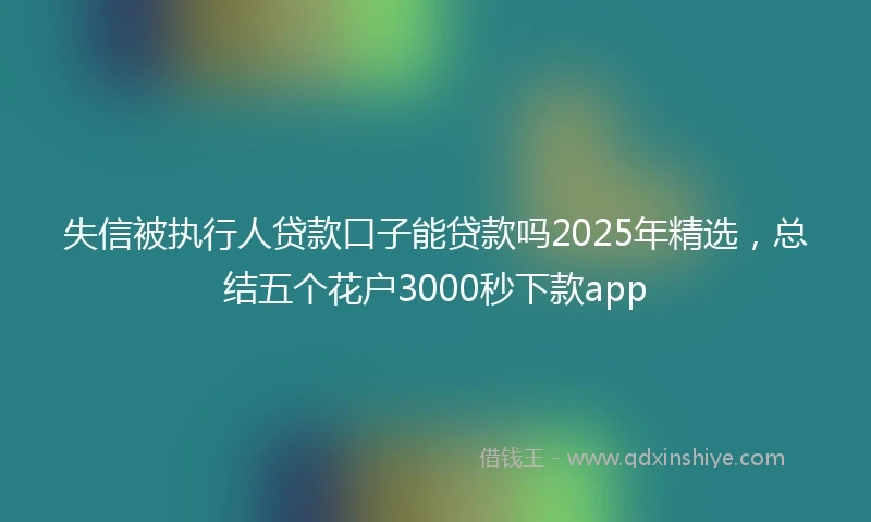 失信被执行人贷款口子能贷款吗2025年精选，总结五个花户3000秒下款app