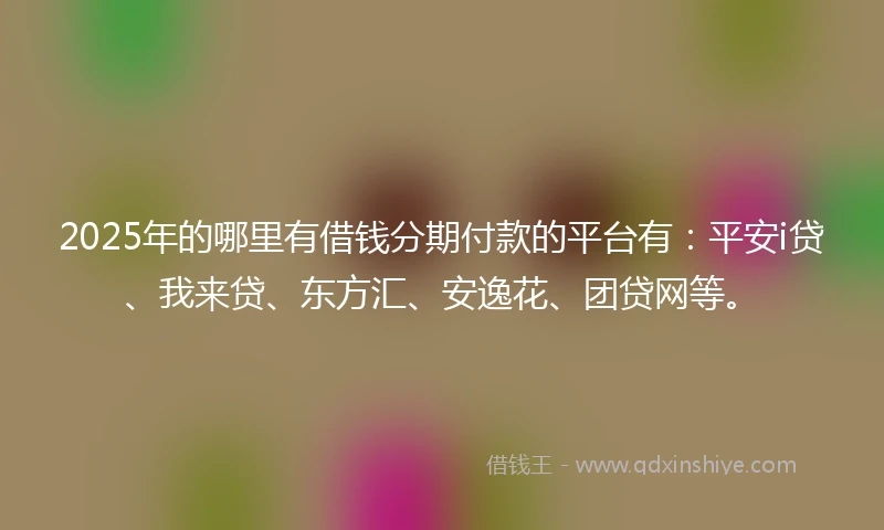 2025年的哪里有借钱分期付款的平台有：平安i贷、我来贷、东方汇、安逸花、团贷网等。