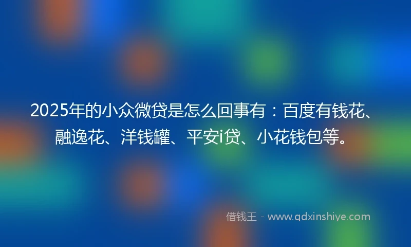 2025年的小众微贷是怎么回事有：百度有钱花、融逸花、洋钱罐、平安i贷、小花钱包等。