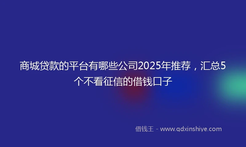 商城贷款的平台有哪些公司2025年推荐，汇总5个不看征信的借钱口子