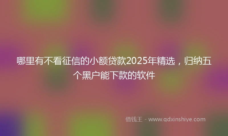 哪里有不看征信的小额贷款2025年精选，归纳五个黑户能下款的软件