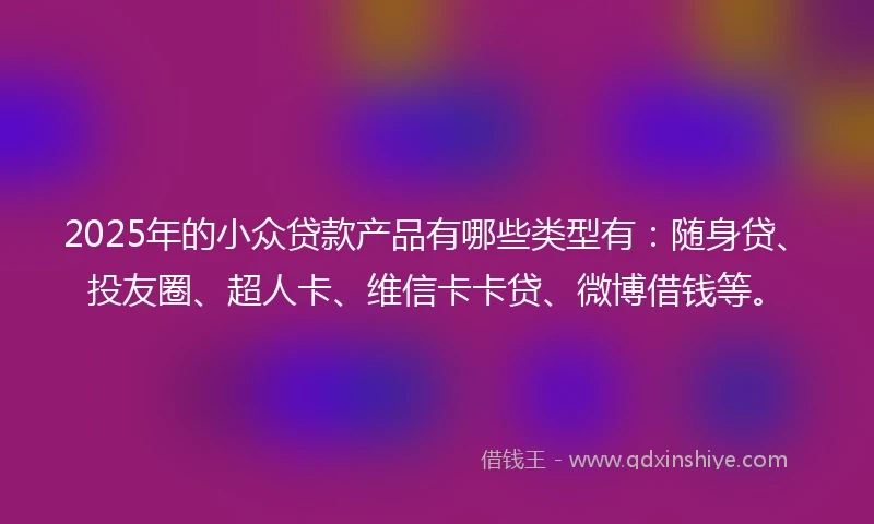 2025年的小众贷款产品有哪些类型有：随身贷、投友圈、超人卡、维信卡卡贷、微博借钱等。