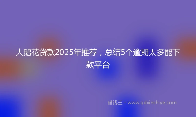 大鹅花贷款2025年推荐，总结5个逾期太多能下款平台