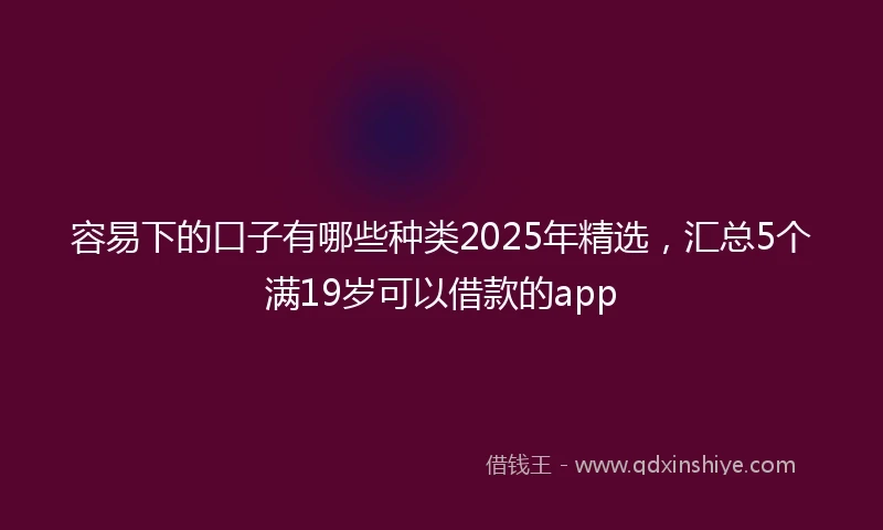 容易下的口子有哪些种类2025年精选，汇总5个满19岁可以借款的app
