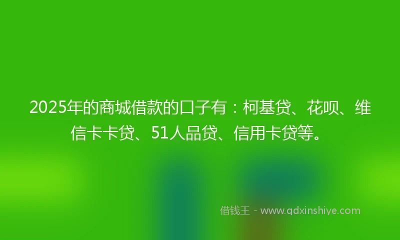 2025年的商城借款的口子有：柯基贷、花呗、维信卡卡贷、51人品贷、信用卡贷等。