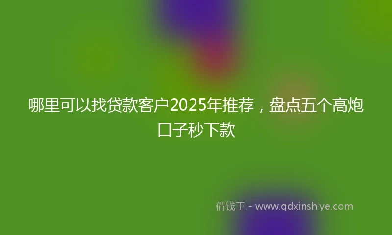 哪里可以找贷款客户2025年推荐，盘点五个高炮口子秒下款