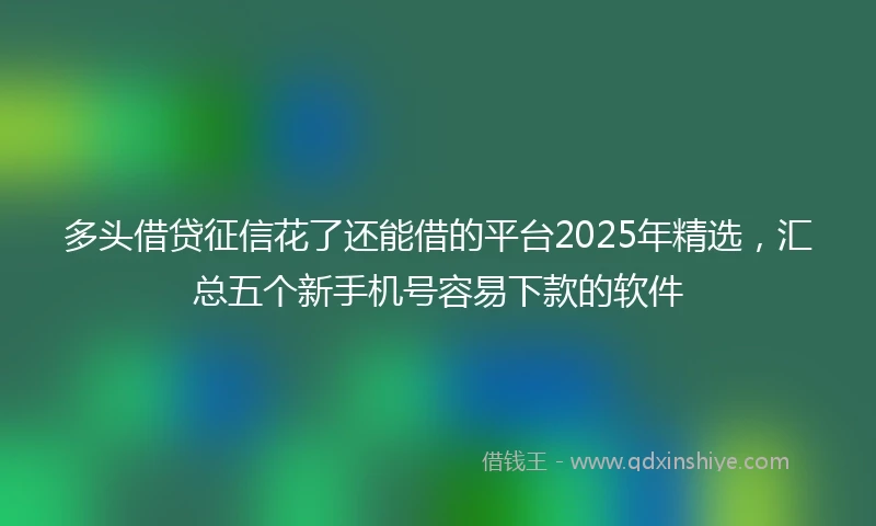 多头借贷征信花了还能借的平台2025年精选，汇总五个新手机号容易下款的软件
