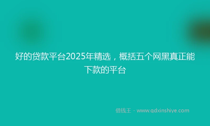好的贷款平台2025年精选，概括五个网黑真正能下款的平台