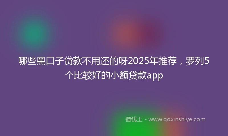 哪些黑口子贷款不用还的呀2025年推荐，罗列5个比较好的小额贷款app