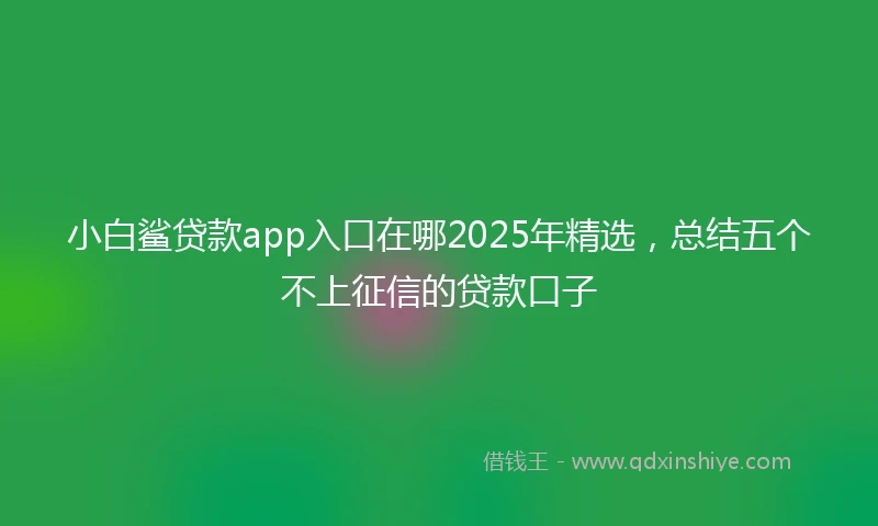 小白鲨贷款app入口在哪2025年精选，总结五个不上征信的贷款口子
