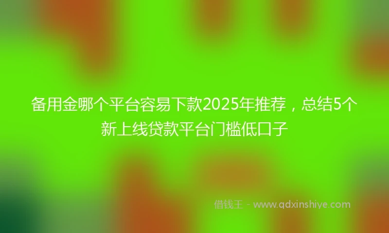 备用金哪个平台容易下款2025年推荐，总结5个新上线贷款平台门槛低口子