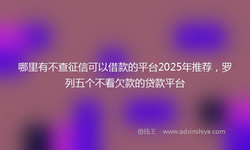哪里有不查征信可以借款的平台2025年推荐，罗列五个不看欠款的贷款平台