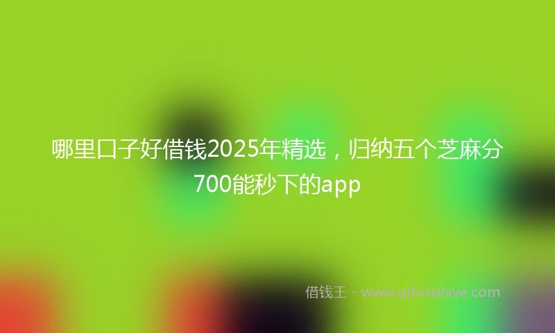 哪里口子好借钱2025年精选，归纳五个芝麻分700能秒下的app