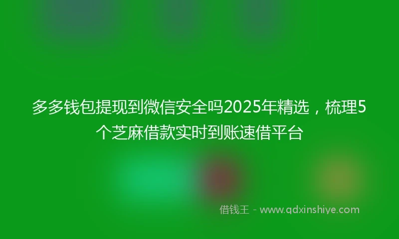 多多钱包提现到微信安全吗2025年精选，梳理5个芝麻借款实时到账速借平台