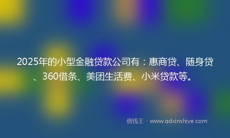 2025年的小型金融贷款公司有：惠商贷、随身贷、360借条、美团生活费、小米贷款等。