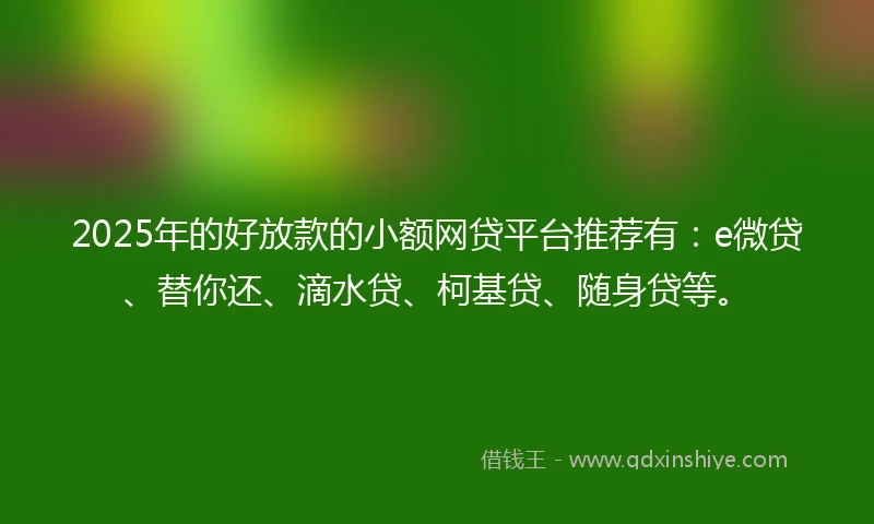 2025年的好放款的小额网贷平台推荐有：e微贷、替你还、滴水贷、柯基贷、随身贷等。