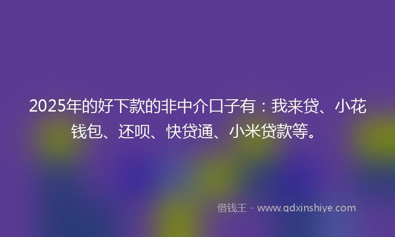 2025年的好下款的非中介口子有：我来贷、小花钱包、还呗、快贷通、小米贷款等。