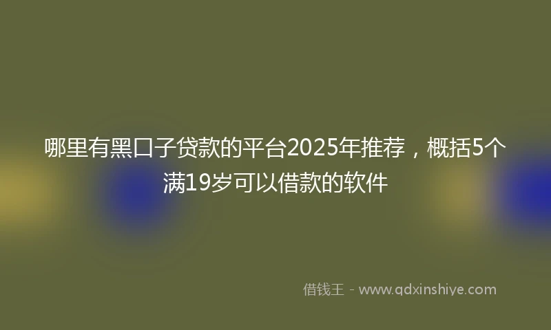 哪里有黑口子贷款的平台2025年推荐，概括5个满19岁可以借款的软件