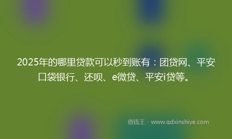 2025年的哪里贷款可以秒到账有：团贷网、平安口袋银行、还呗、e微贷、平安i贷等。