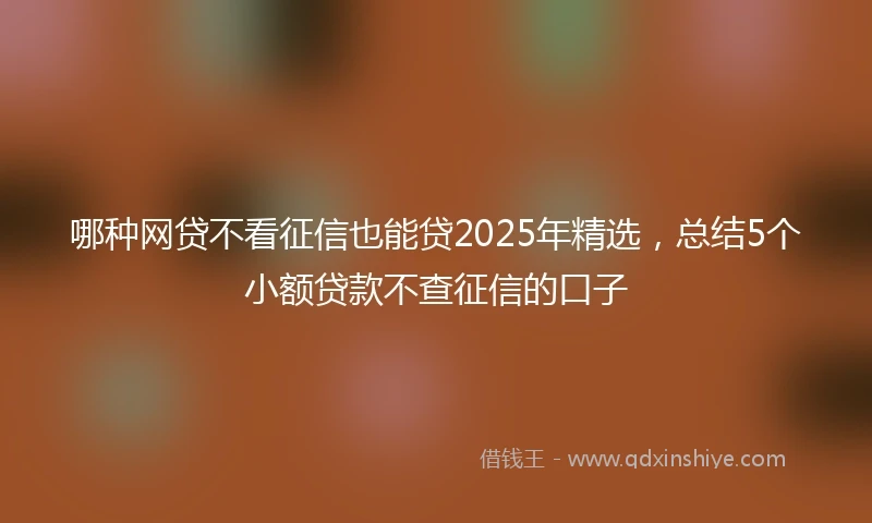 哪种网贷不看征信也能贷2025年精选，总结5个小额贷款不查征信的口子