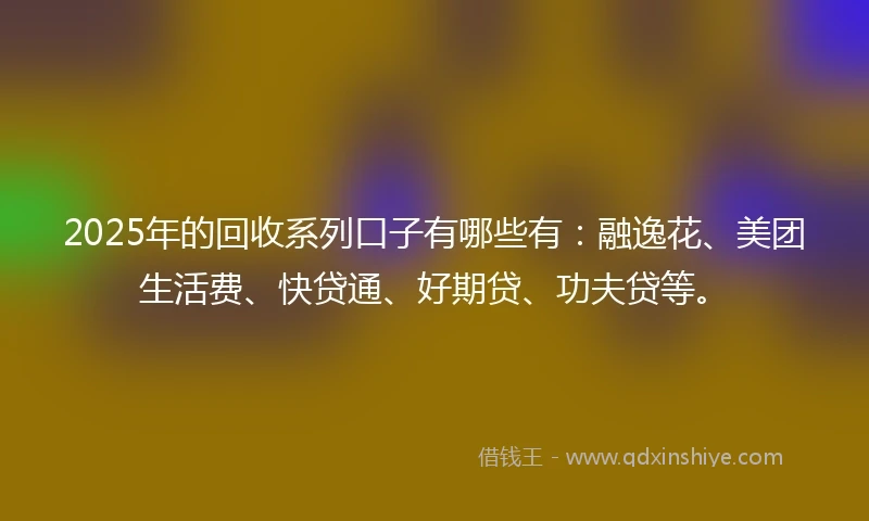 2025年的回收系列口子有哪些有：融逸花、美团生活费、快贷通、好期贷、功夫贷等。