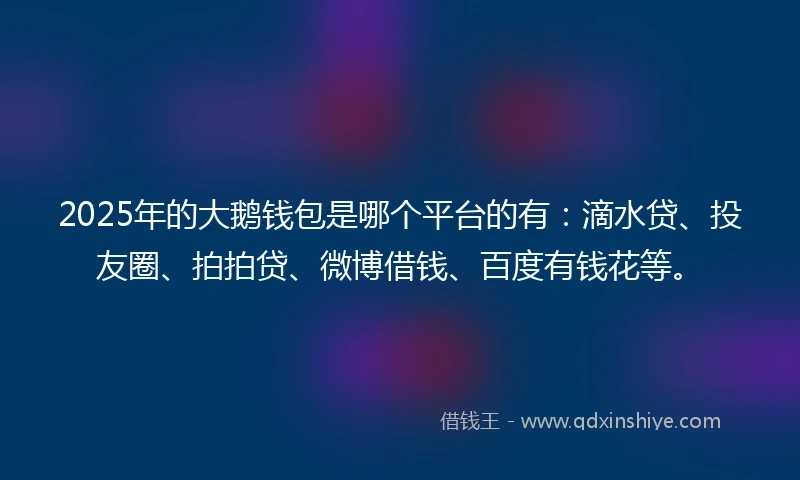 2025年的大鹅钱包是哪个平台的有：滴水贷、投友圈、拍拍贷、微博借钱、百度有钱花等。