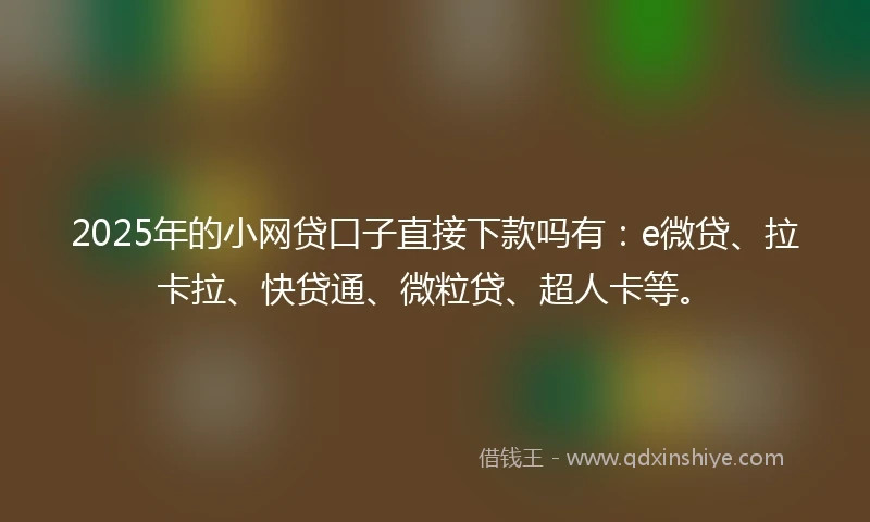 2025年的小网贷口子直接下款吗有：e微贷、拉卡拉、快贷通、微粒贷、超人卡等。