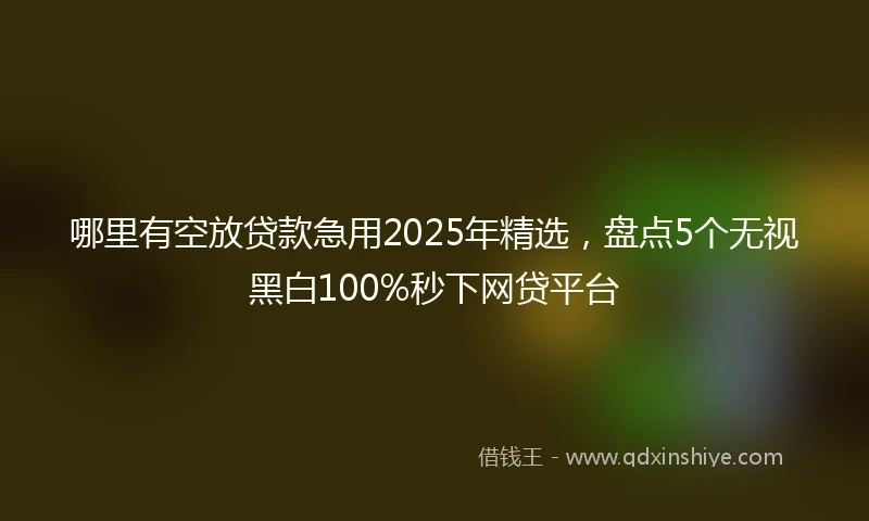 哪里有空放贷款急用2025年精选，盘点5个无视黑白100%秒下网贷平台
