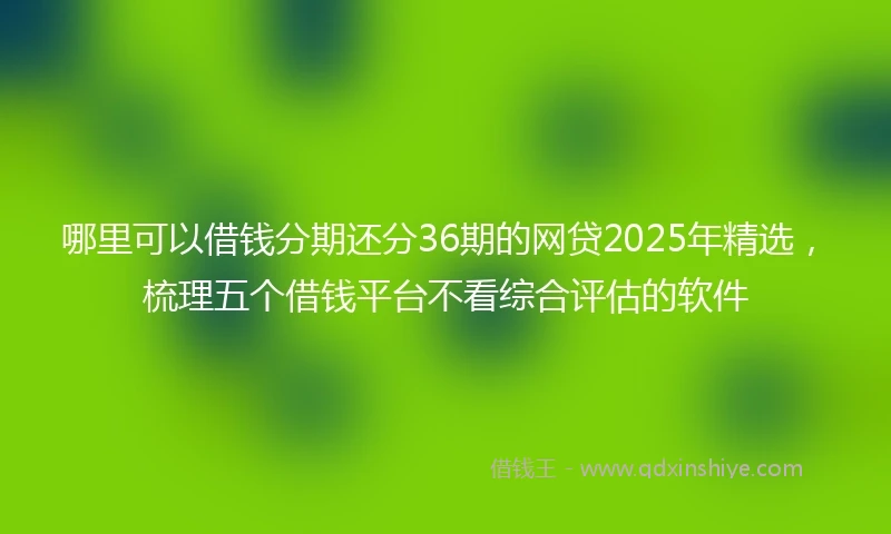 哪里可以借钱分期还分36期的网贷2025年精选，梳理五个借钱平台不看综合评估的软件