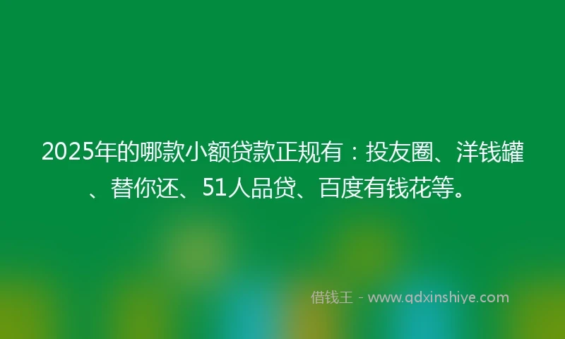 2025年的哪款小额贷款正规有：投友圈、洋钱罐、替你还、51人品贷、百度有钱花等。