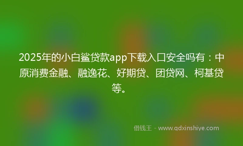 2025年的小白鲨贷款app下载入口安全吗有：中原消费金融、融逸花、好期贷、团贷网、柯基贷等。